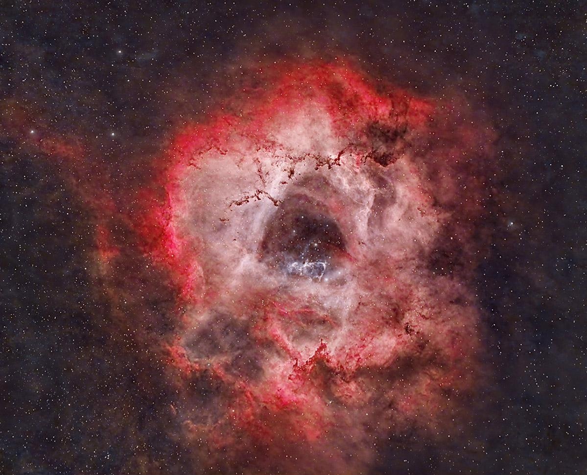Rosette Nebula